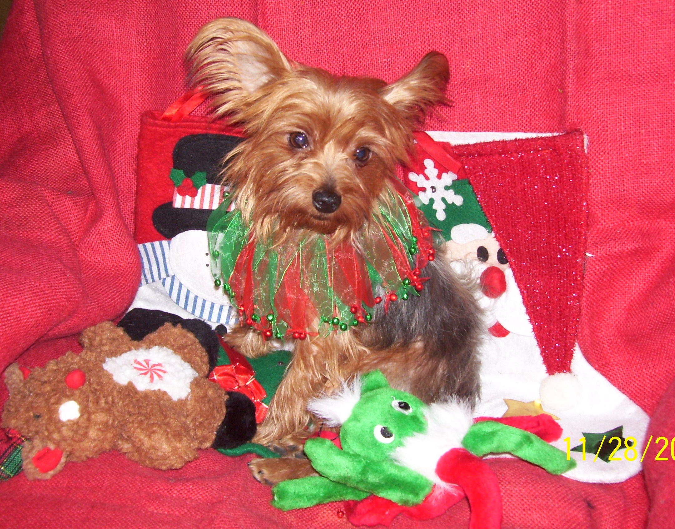 benji1001.jpg