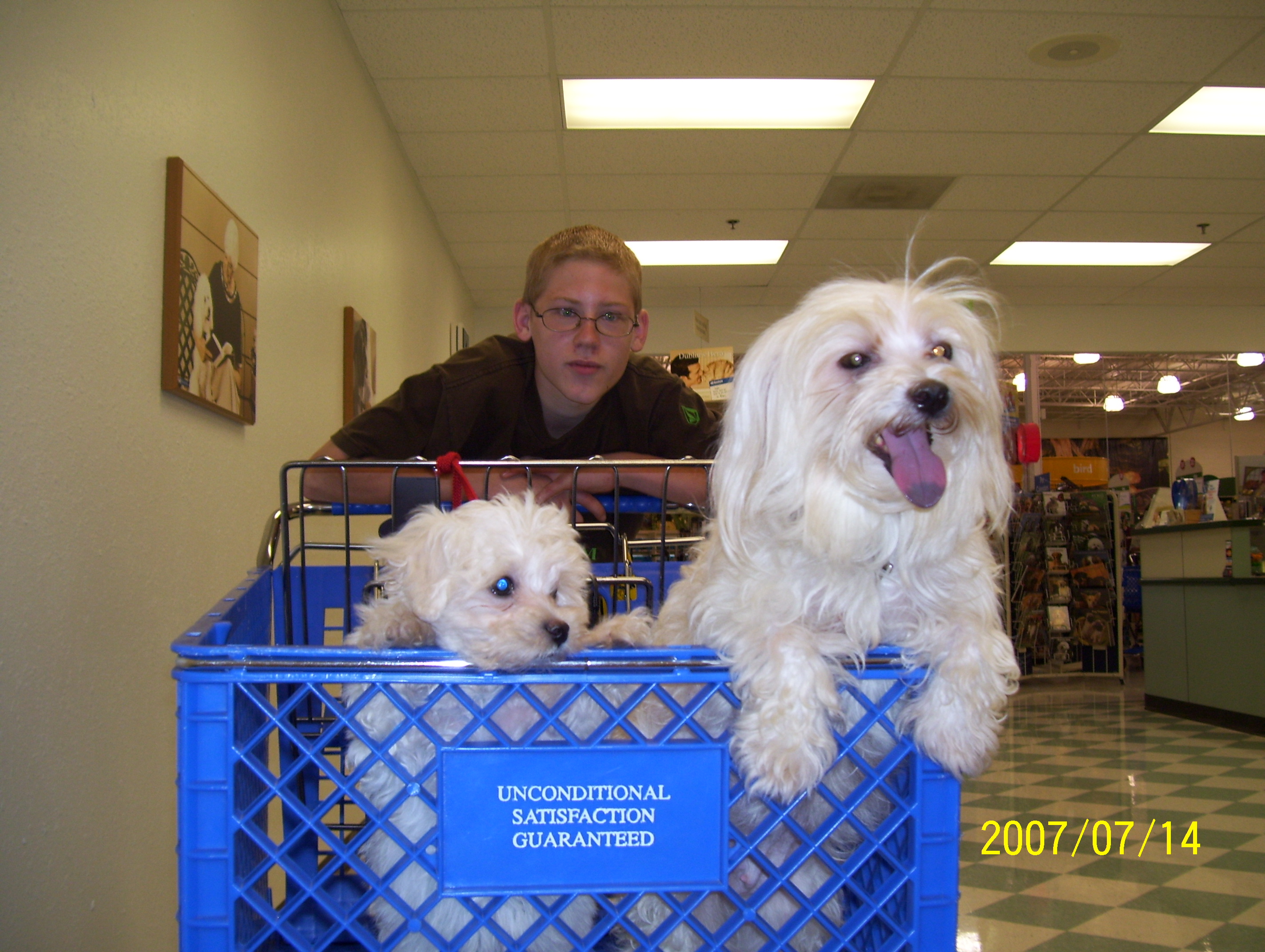 petsmart1.jpg