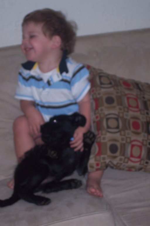 smokeypugglepoo.jpg